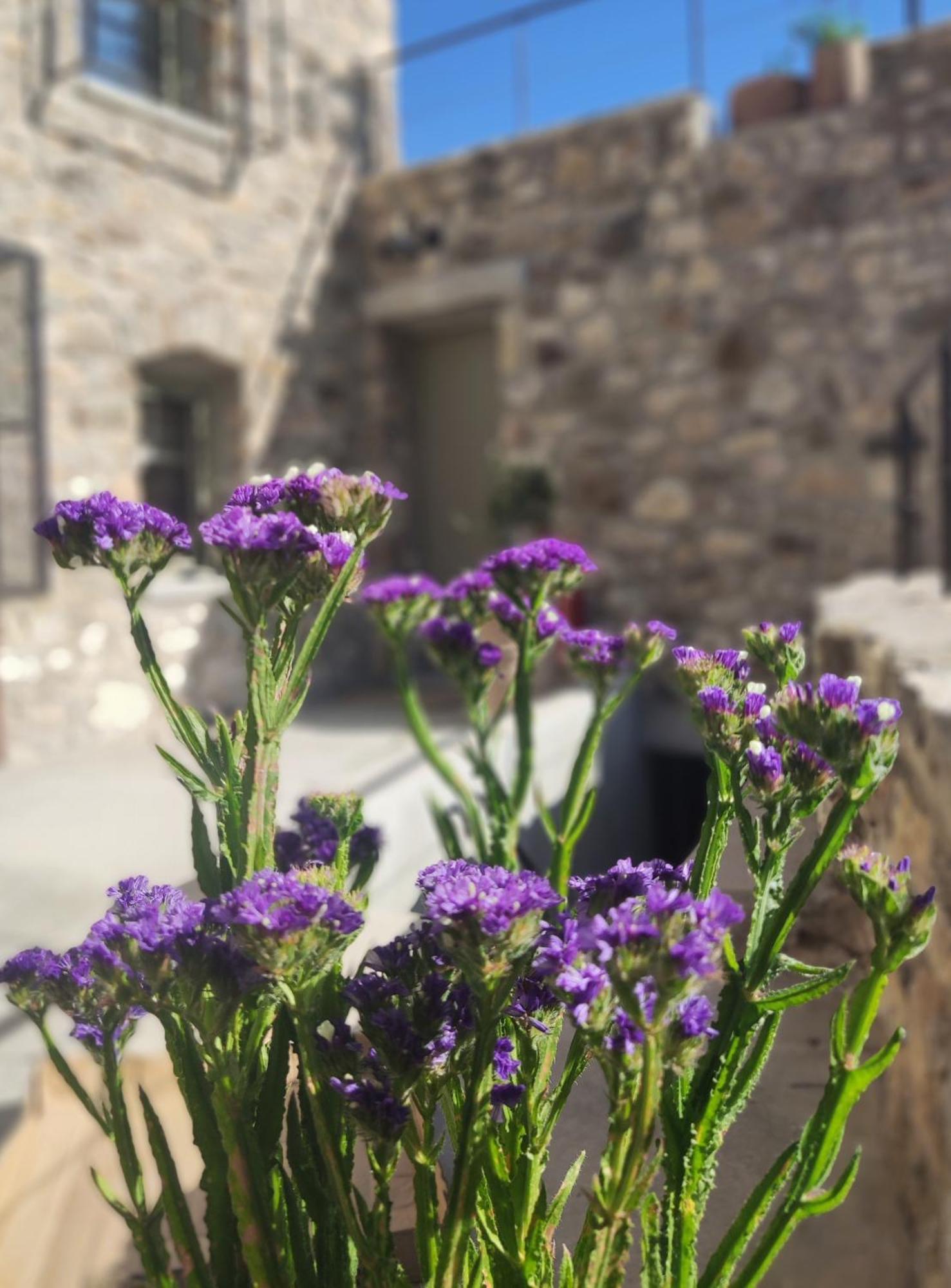 Pyrgi Cretan Living & Spa Pirgos  Екстериор снимка